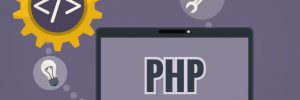 PHP Developer